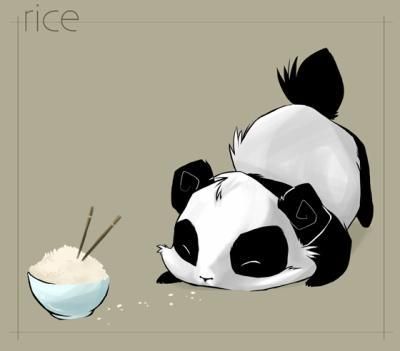panda avec un bol de riz